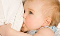افزایش شیر مادر با 5 گیاه دارویی!