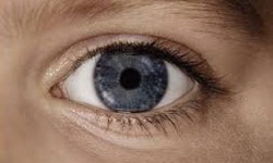 تشخیص بیماری‌های چشم با تلفن همراه