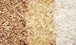 با انواع برنج در دنیا آشنا شوید..!